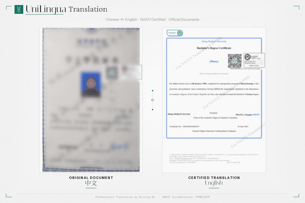 Example of a translated bachelor's degree certificate